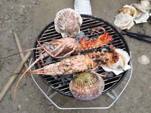 ファイル名: DSC-W270.jpg
ファイルサイズ: 34.1KB DSC-W270